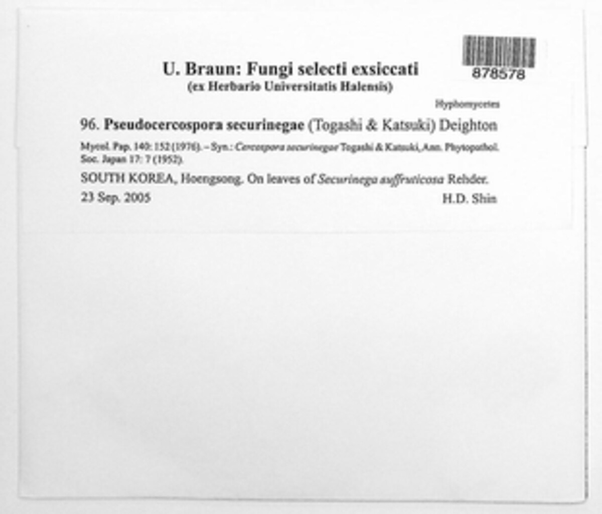 Pseudocercospora securinegae image
